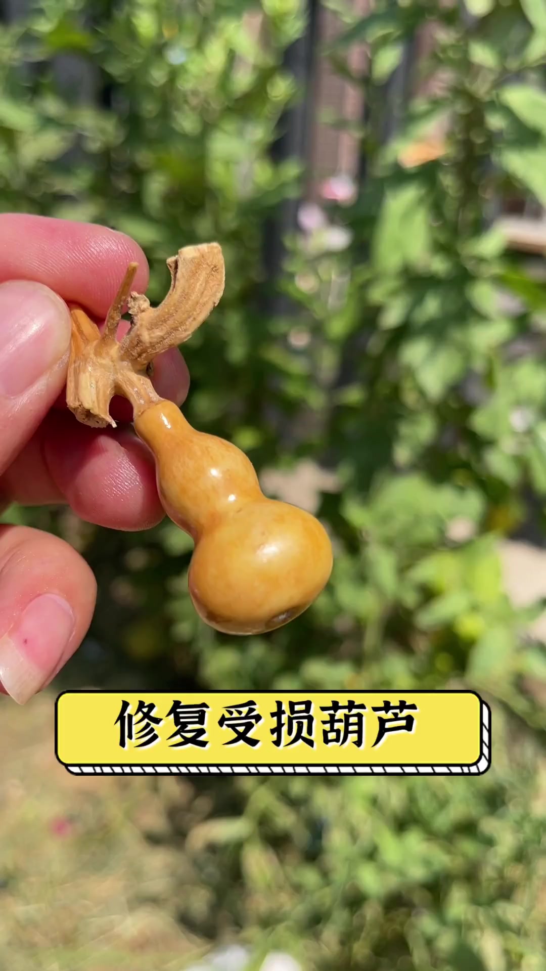 修复受损葫芦