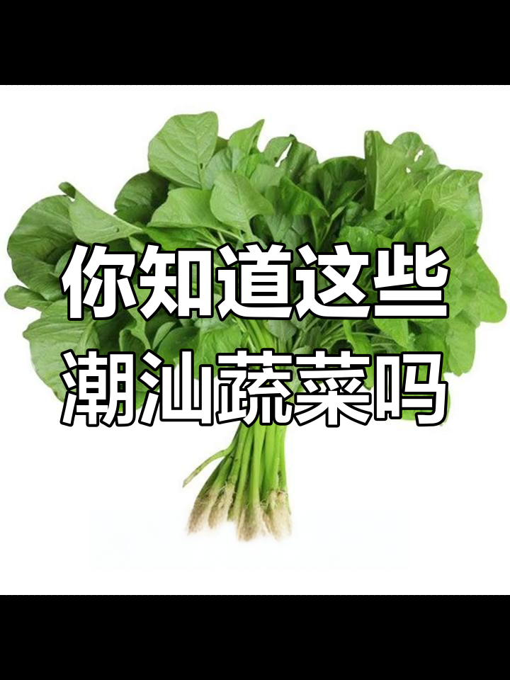 潮汕特色蔬菜大盘点,牛皮菜你吃过吗?