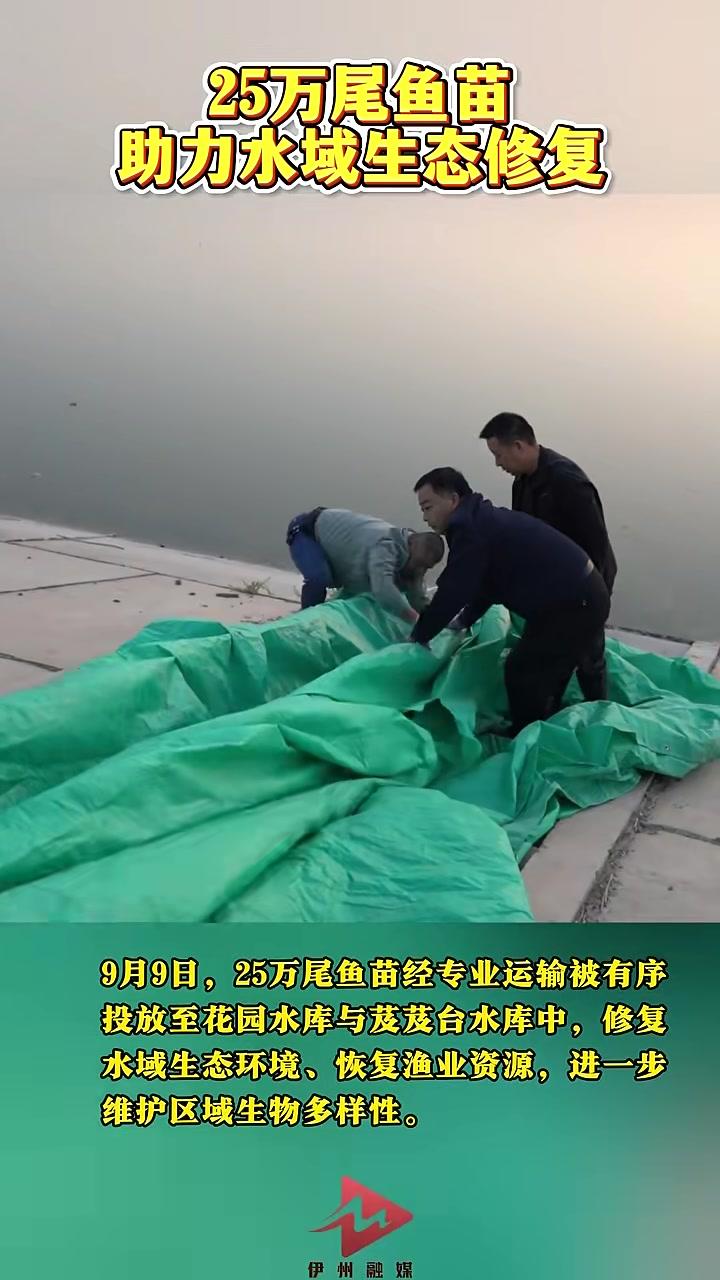 25万尾鱼苗助力水域生态修复
