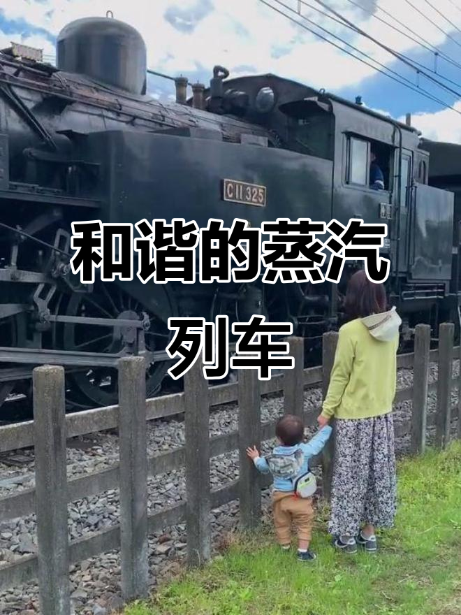 蒸汽机车迎面驶来，车窗里的人向我们友好挥手