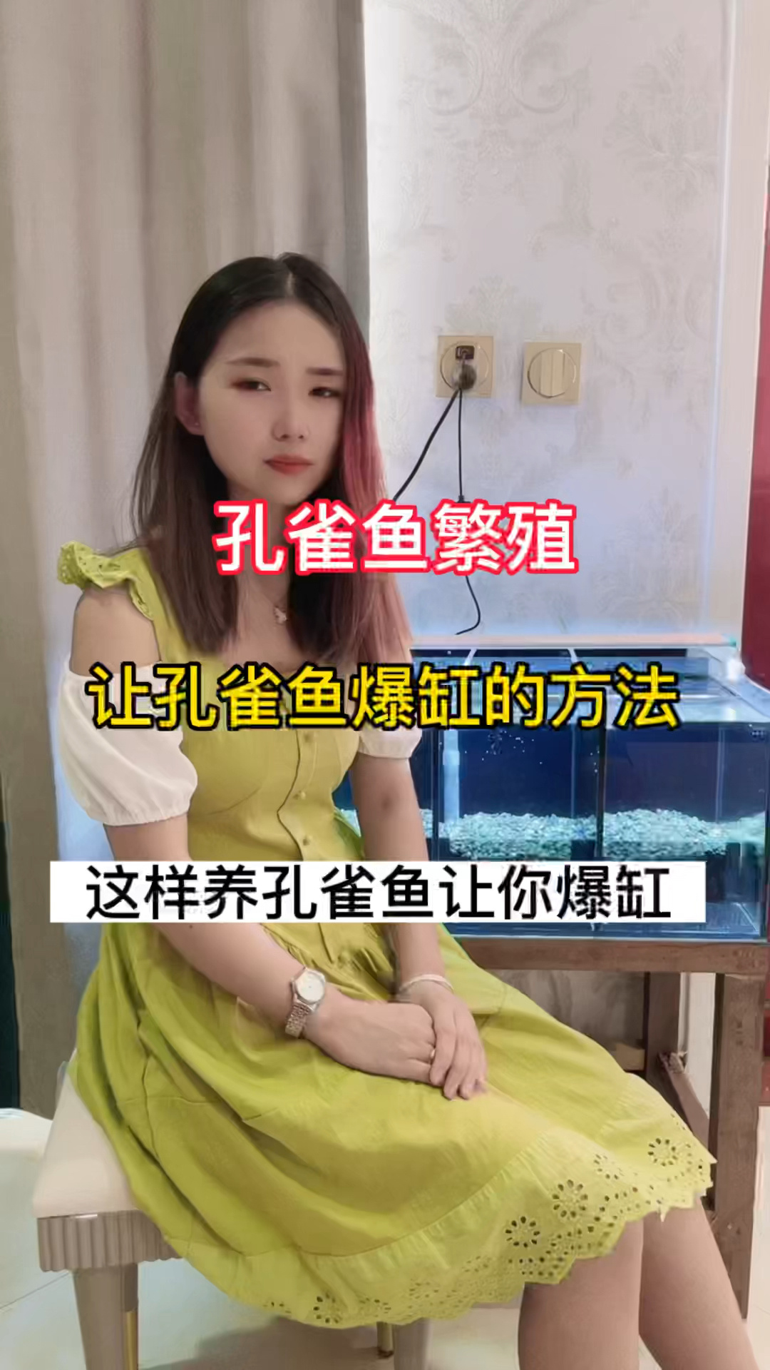 这样养孔雀鱼能繁殖到爆缸