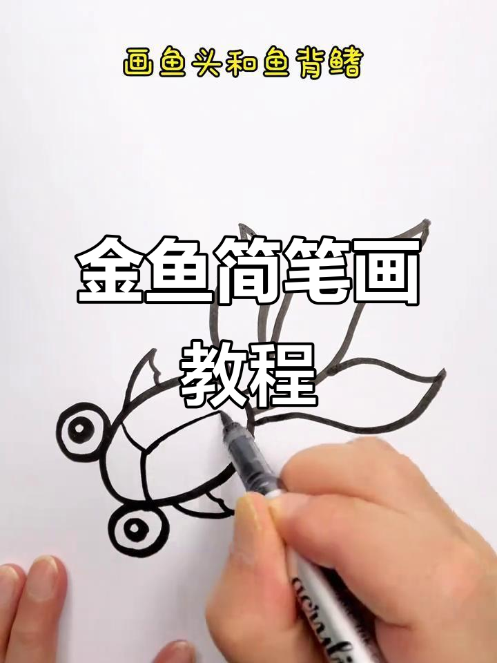 轻松学画可爱金鱼,步骤简单又有趣