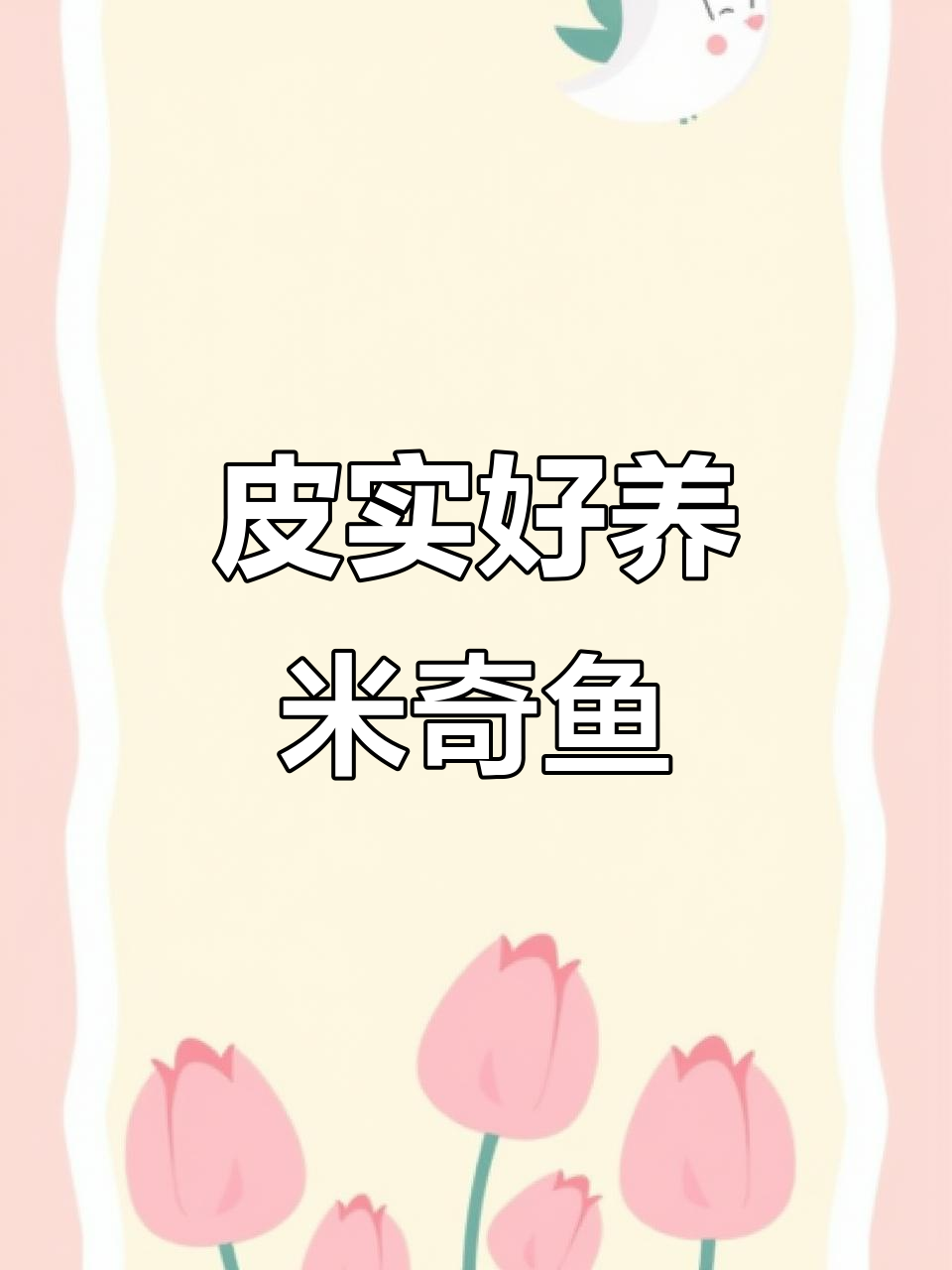 米奇鱼:比孔雀更好养的胎生观赏鱼,超耐低温