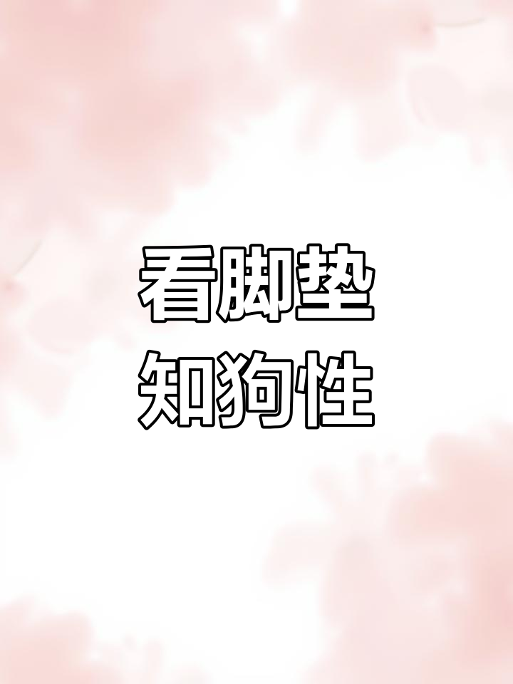 狗狗肉垫揭示性格差异