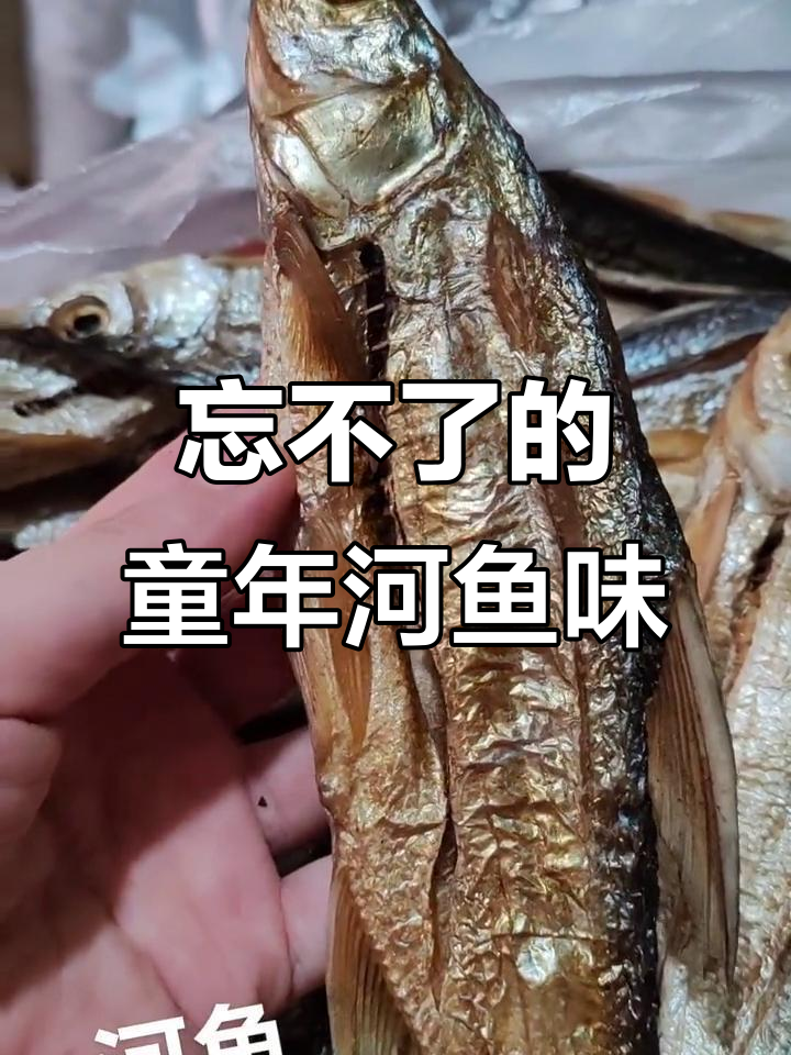正宗河鱼口感,海鳄鱼的童年味道