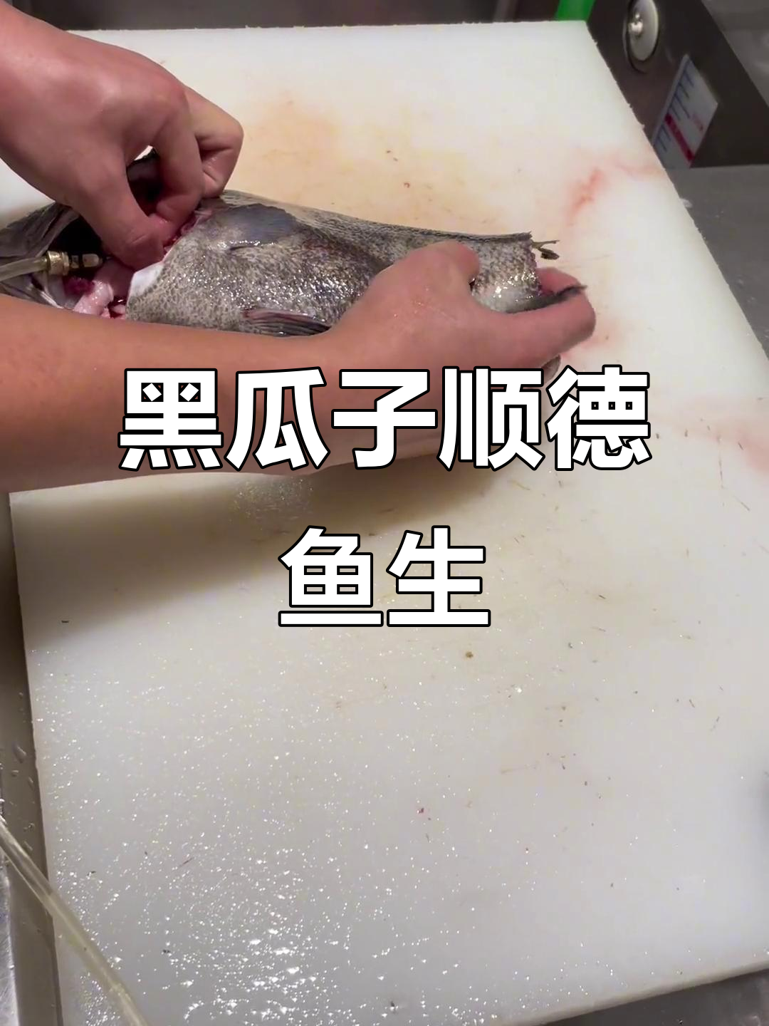 顺德黑瓜子鱼生,口感鲜美无比