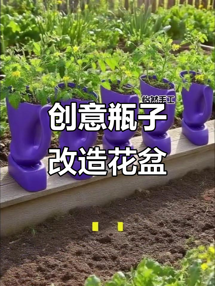 废旧塑料瓶变花盆，简单步骤教你DIY种菜神器