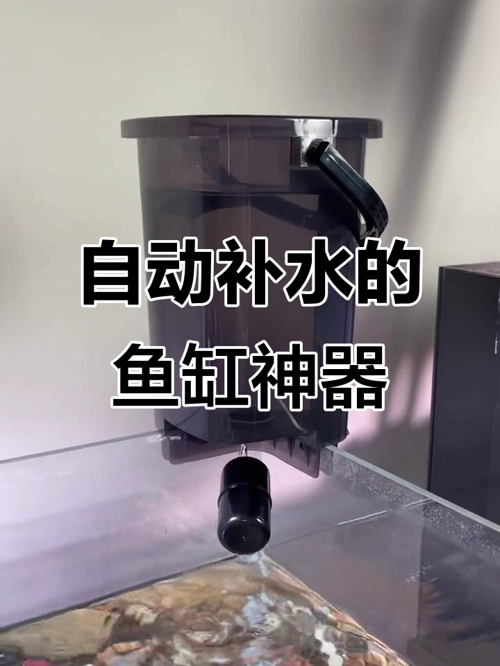 假期出行必备:鱼缸自动补水器,轻松解决水短缺问题