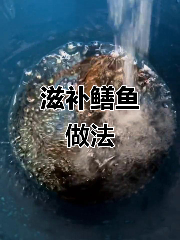 野生鳝鱼整炖，熟透去内脏，滋补效果满分！