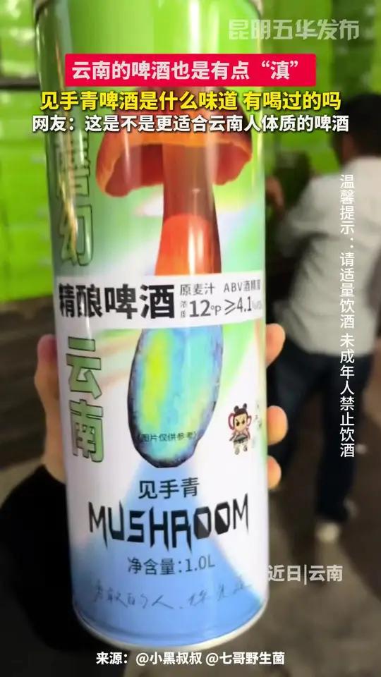 云南的啤酒也是有点“滇”,见手青啤酒是什么味道 有喝过的吗