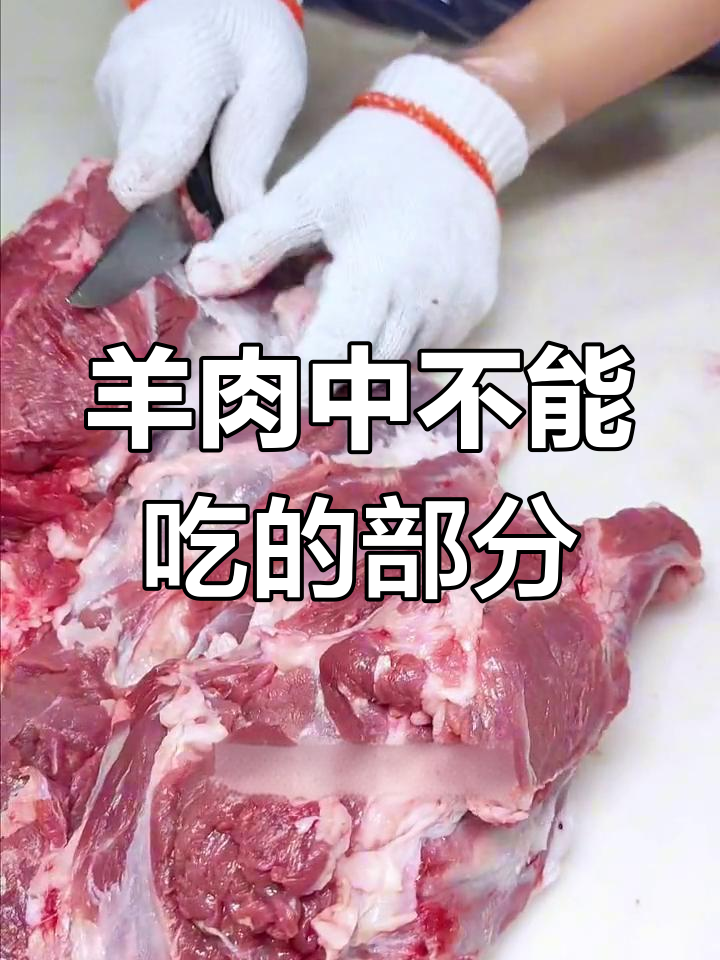 羊身上哪些部位不能吃?淋巴分布揭秘