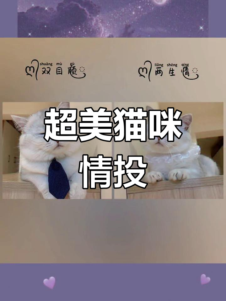 猫咪情侣头像,超有意境