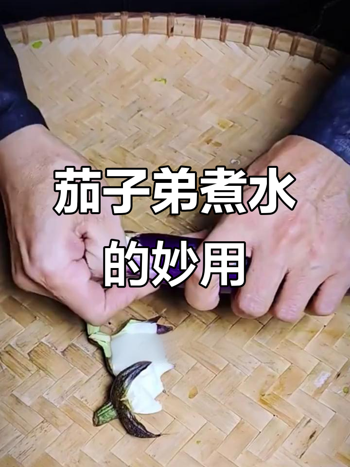 茄子蒂的神奇作用,煮水喝竟然有这么多好处