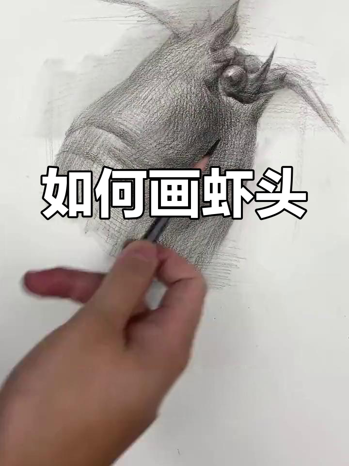 虾头素描绘制技巧详解
