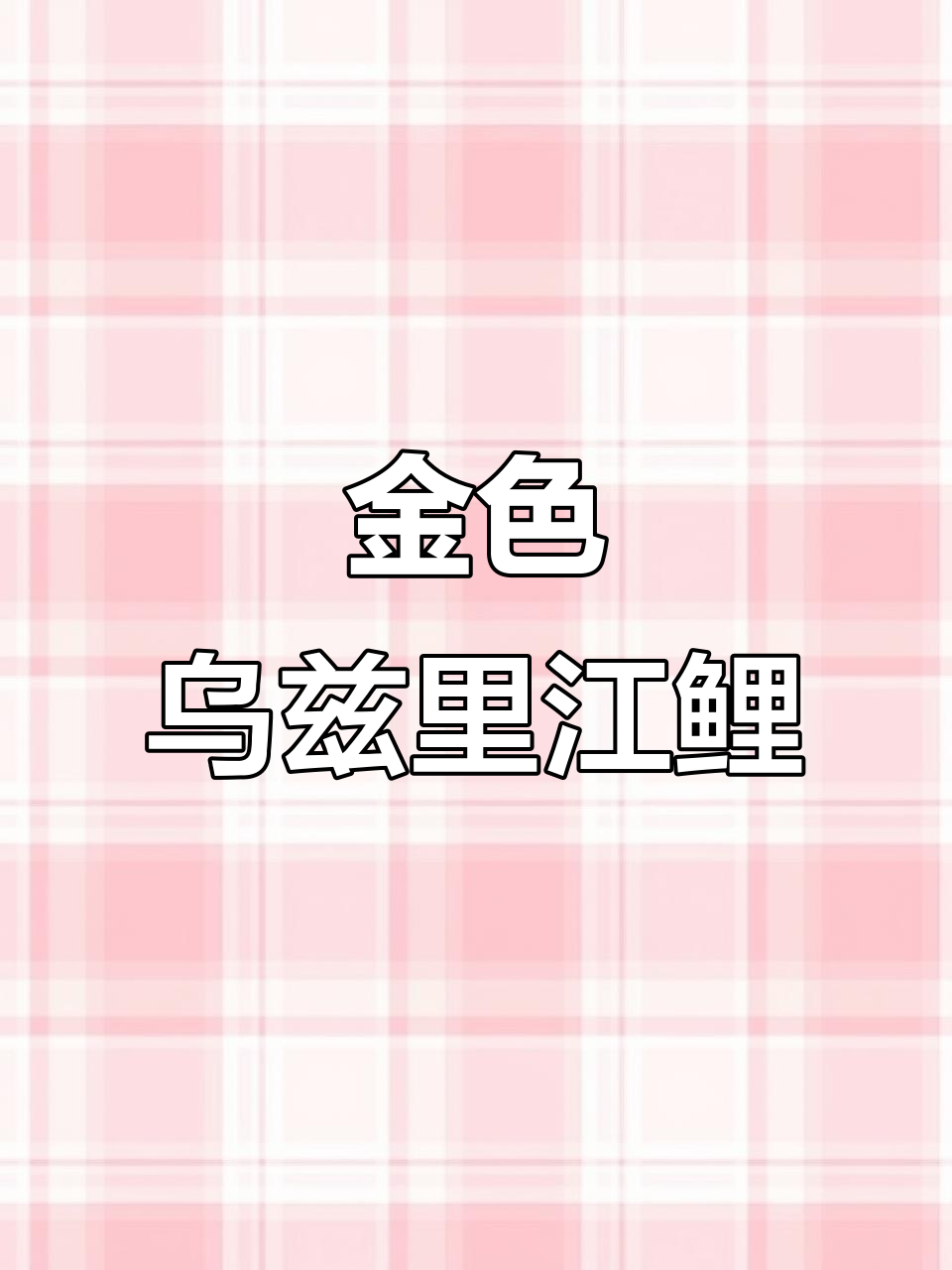 乌苏里江黄金大鲤鱼,鳞片金黄超惊艳!