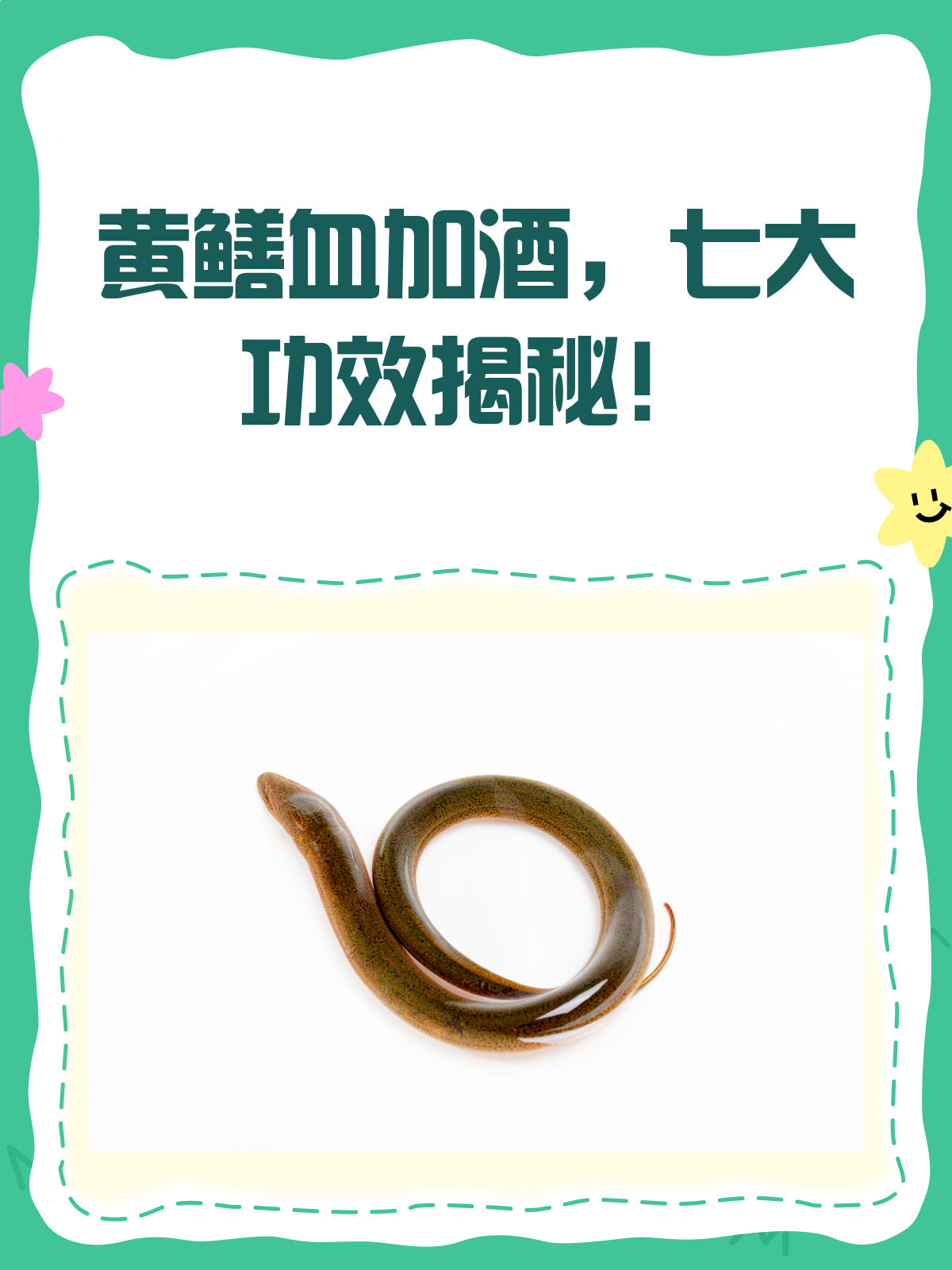 黄鳝血加酒,竟然有这么多神奇功效!