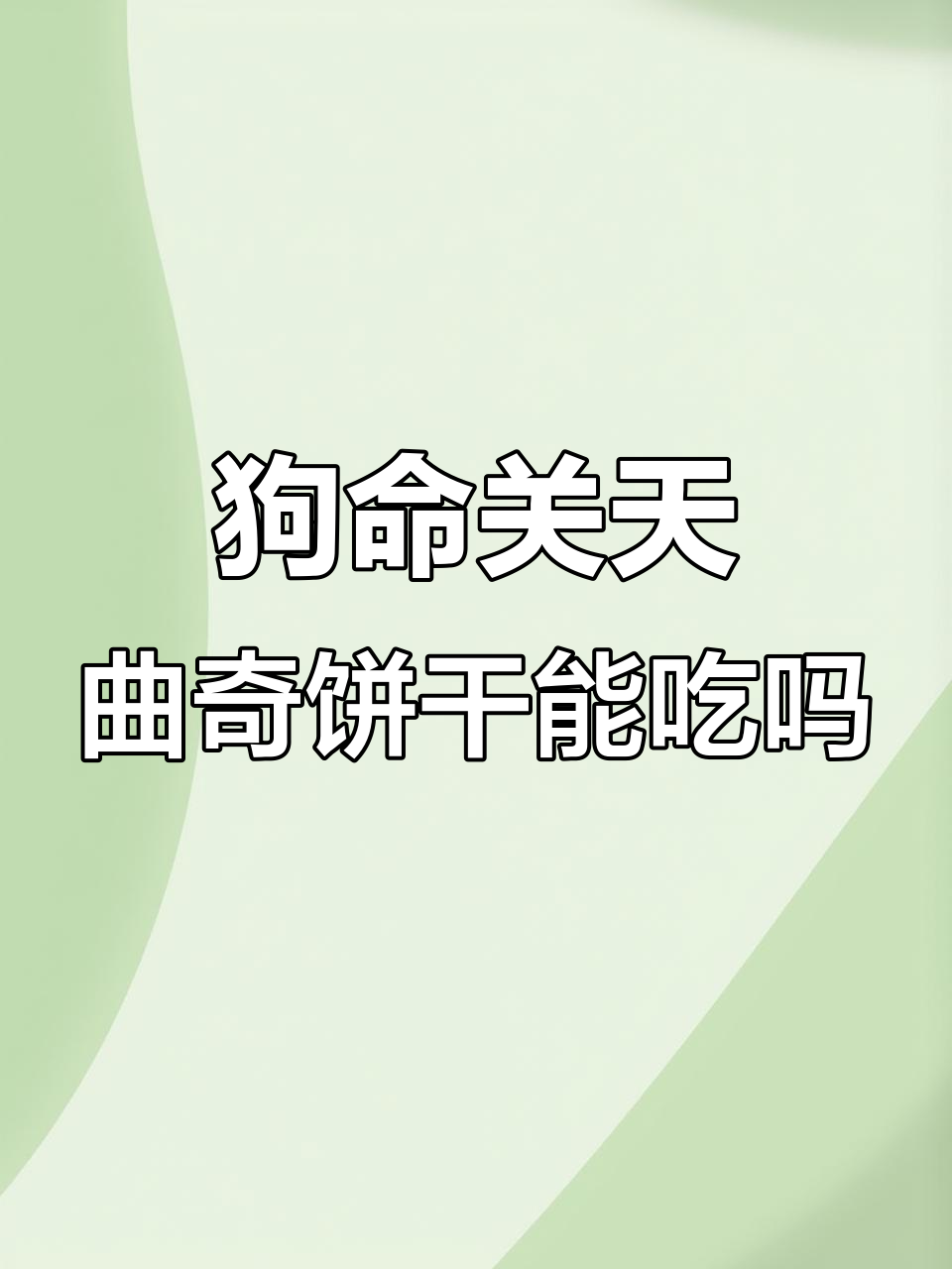 狗狗误吃饼干险些丧命,眼神里全是担忧