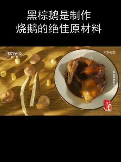 黑棕鹅是制作烧鹅的绝佳原材料