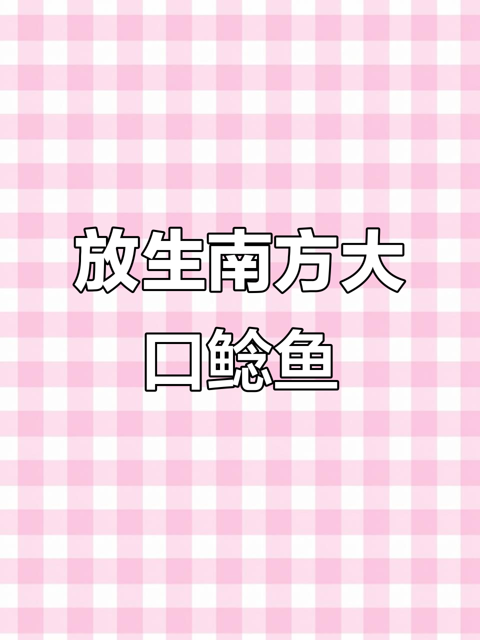 深圳东莞惠州佛山鱼苗批发,南方大口鲶鱼苗放生现场