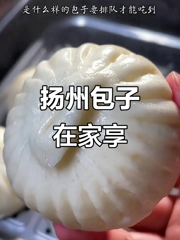 不必远行,扬州美味包子轻松享用,肉菜包汁多味浓!