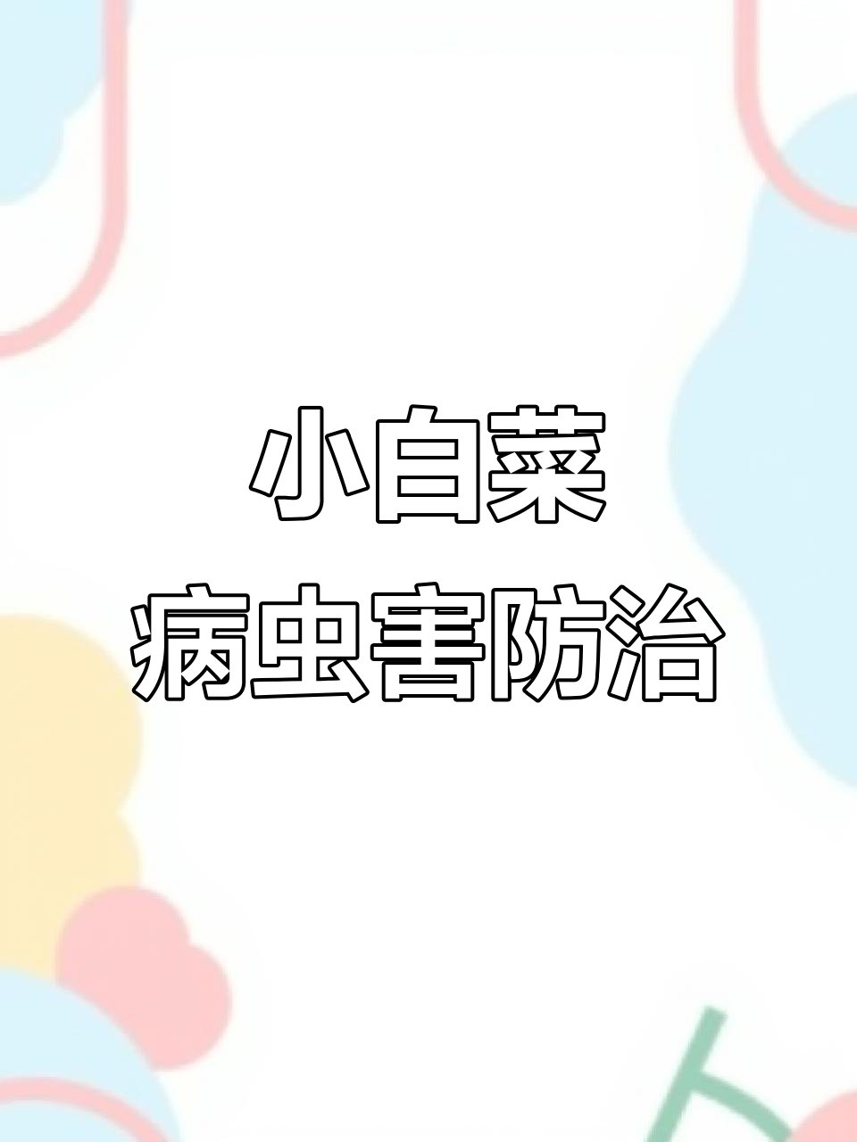 小白菜常见病害及防治方法,轻松搞定霜霉病、黑斑病等