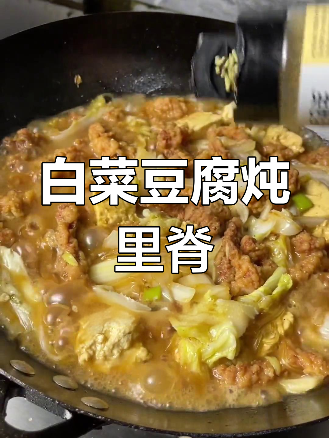 白菜豆腐炖里脊,家常烩菜做法大揭秘