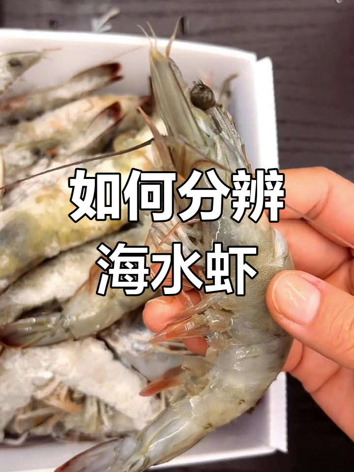 海水大虾如何辨别?掌握这3个关键特征