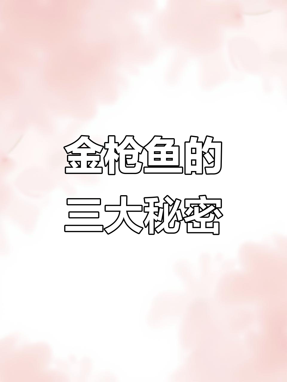 大腹如脂,中腹平衡,赤身健康,金枪鱼三部位各有千秋