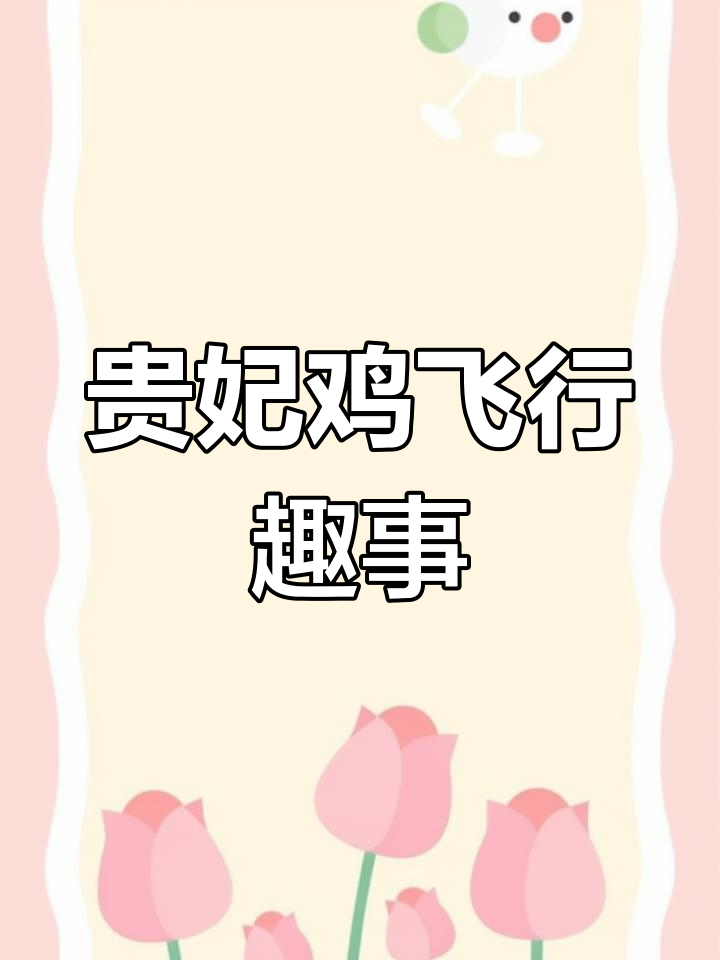 贵妃鸡的飞翔与生蛋日常,公鸡偷袭太搞笑