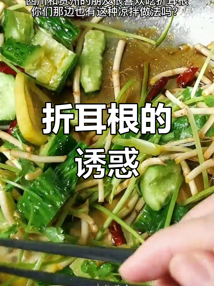 凉拌折耳根,香辣开胃,米饭都能多吃几碗!