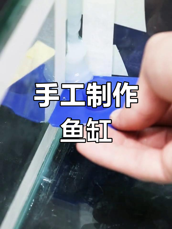 自制玻璃鱼缸教程,轻松学会!