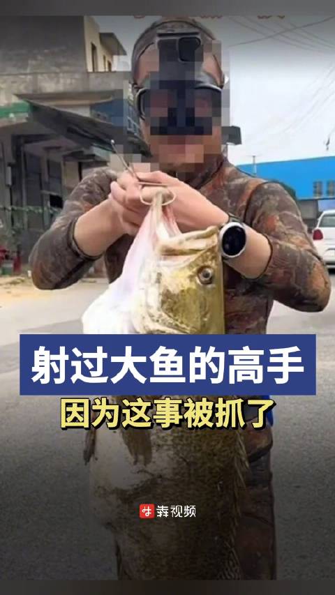 「株洲破获3个潜水射鱼犯罪团伙」2023年12月中旬,株洲森林公安民警在日常走访中,获取一