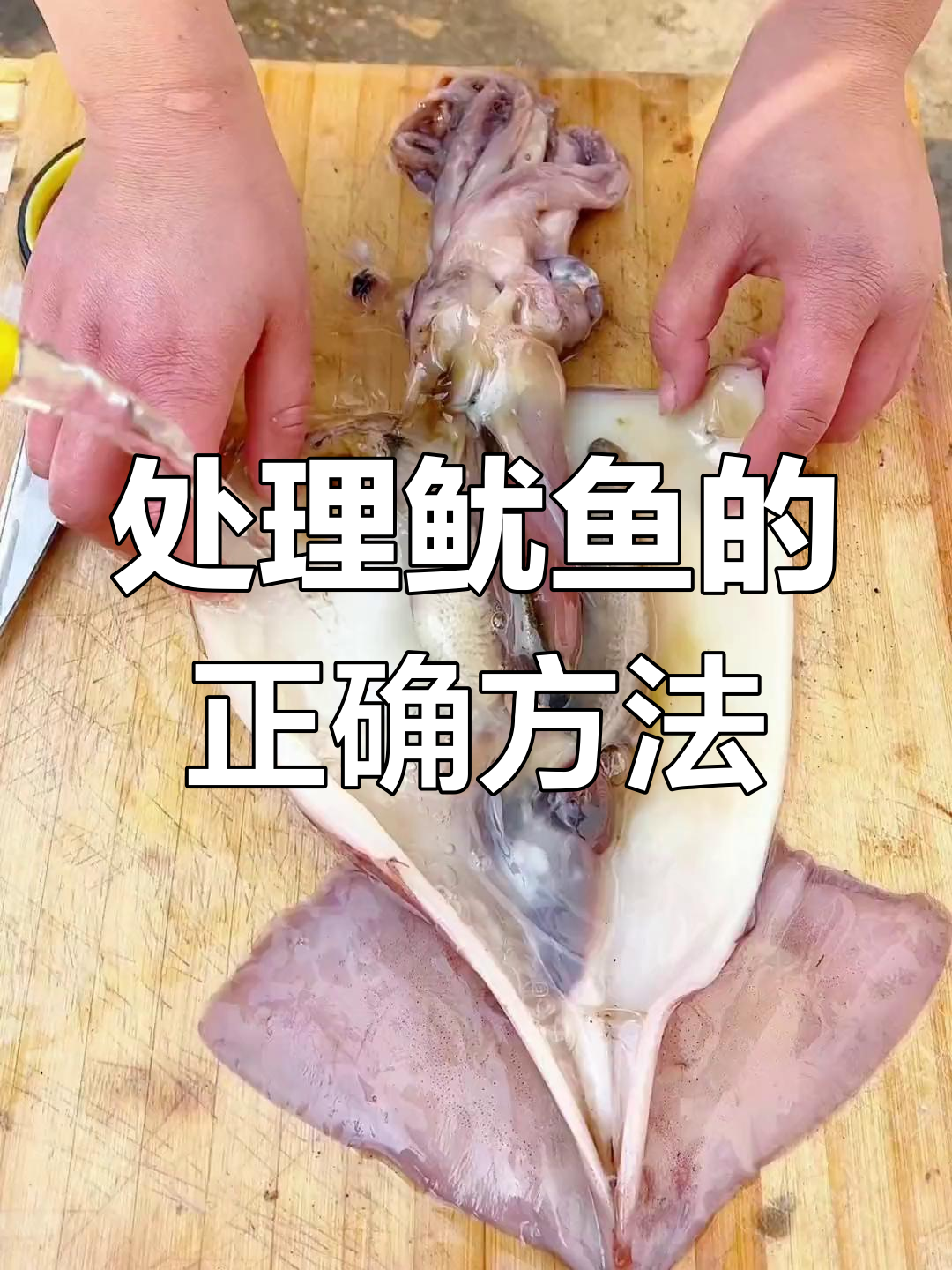 鱿鱼墨汁能吃吗?揭秘处理技巧