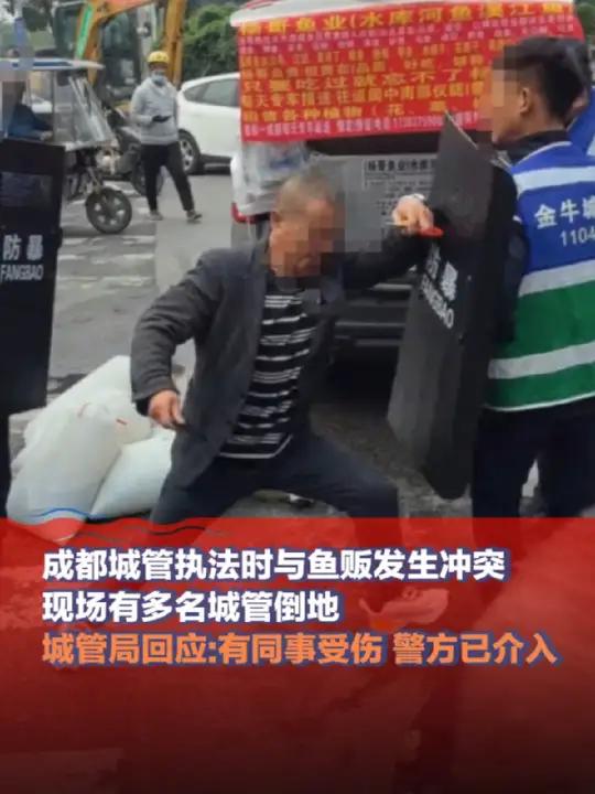 11月5日,四川 成都城管执法时与鱼贩发生冲突多名城管倒地,城管局回应:有同事受伤 警方已