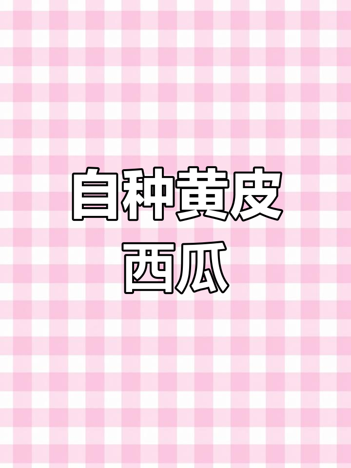 黄皮西瓜:薄皮脆肉,家庭种植更方便