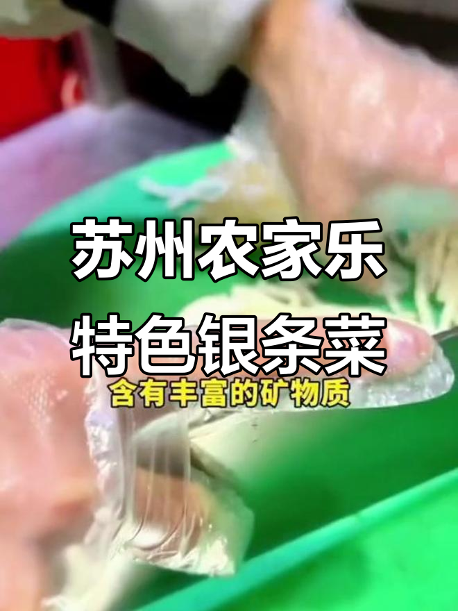 苏州农家乐的银条菜,脆嫩爽口,竟是洛阳特产!