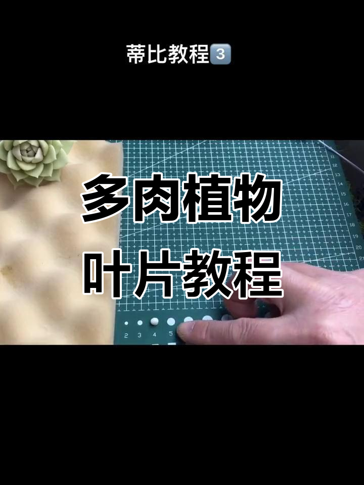 详细步骤教你制作多肉植物叶片,轻松搞定!