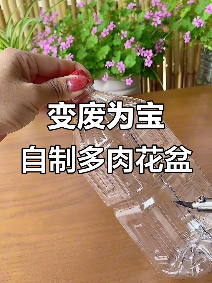 废饮料瓶变多肉花盆,创意DIY超简单