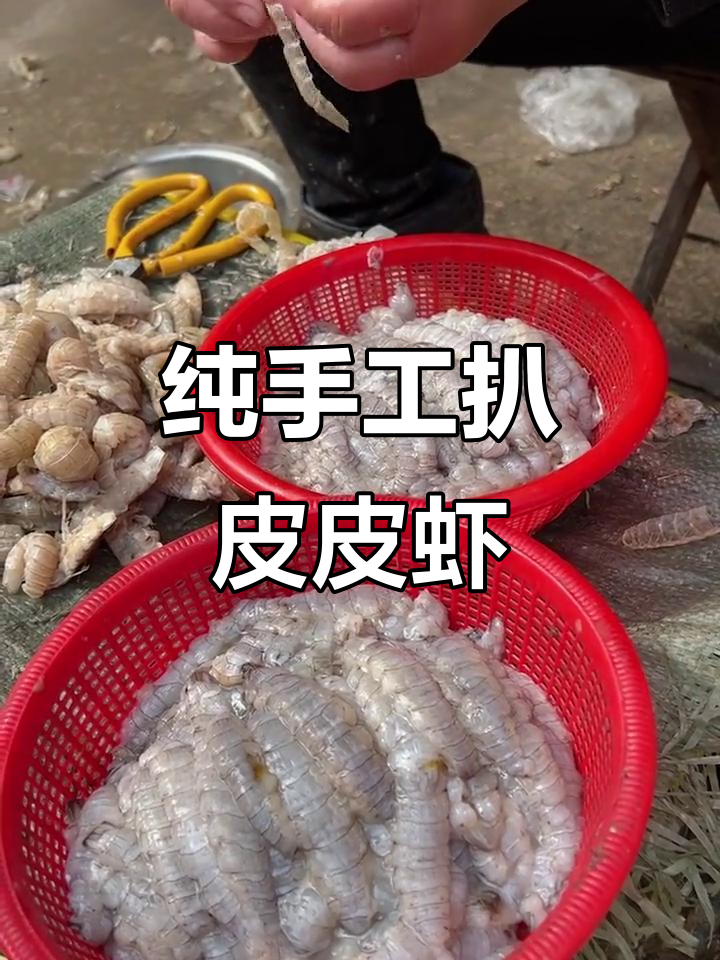 皮皮虾肉新鲜剥出,韭菜饺子馅料备好了