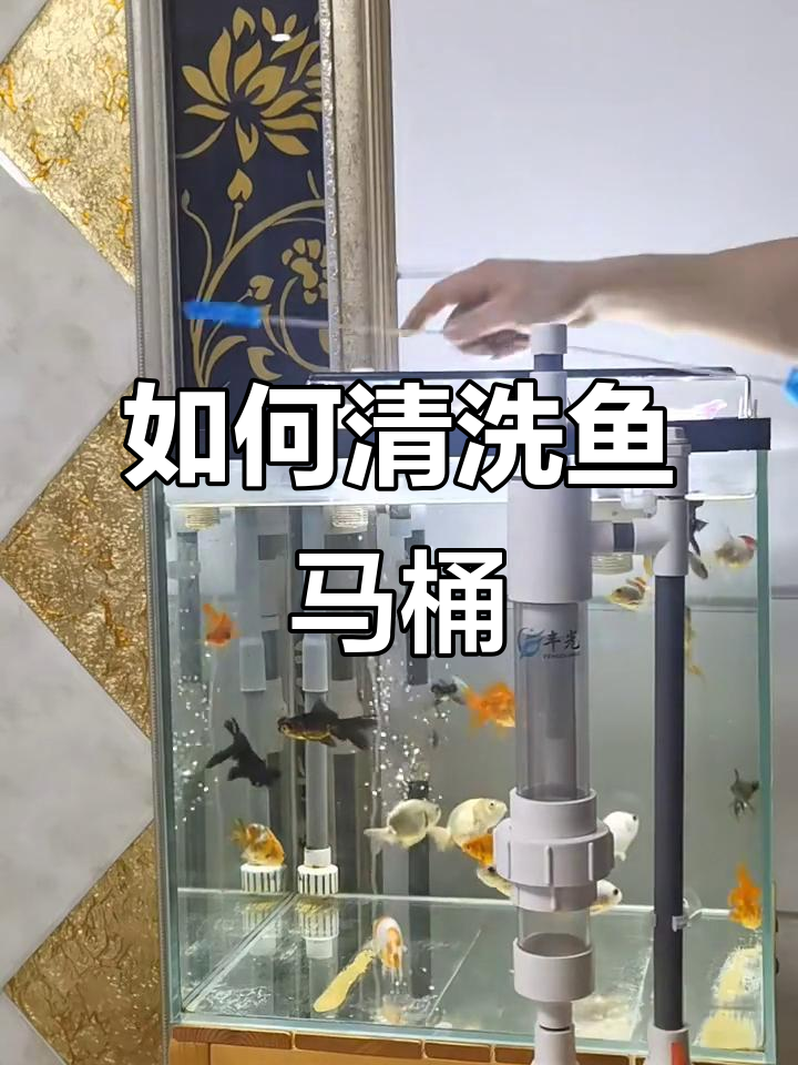 鱼马桶清理全攻略,轻松搞定脏污问题