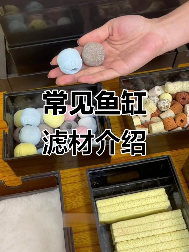 鱼缸过滤材料全解析:五种必备滤材功能详解