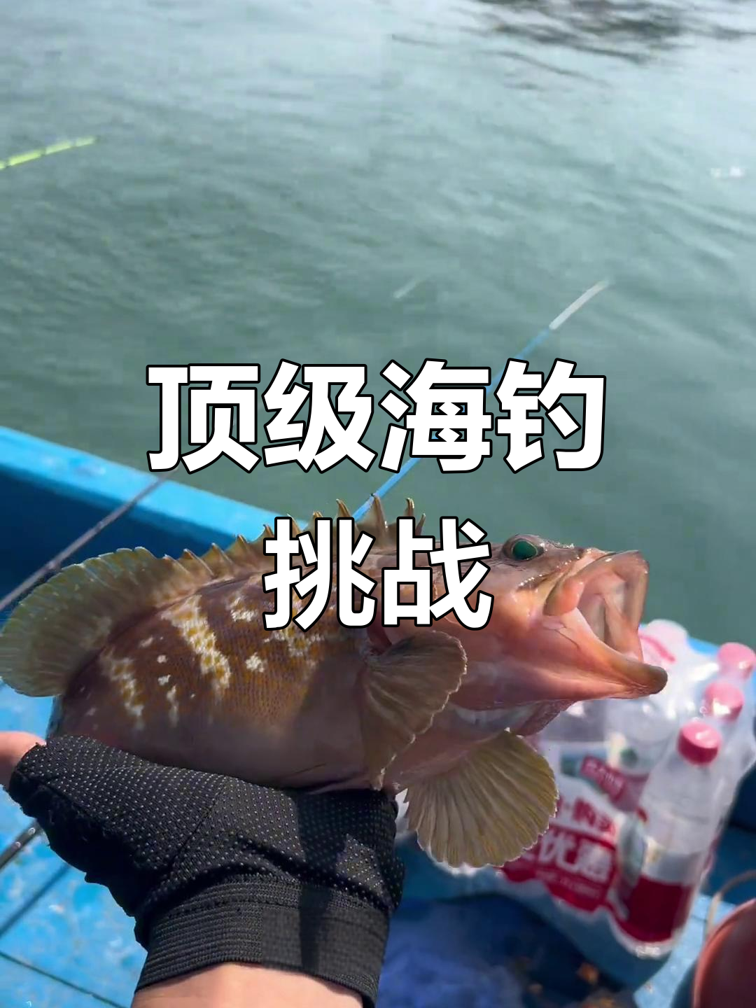 海钓靠运气,顶级斑鱼价格惊人,你们那得多少钱一斤?