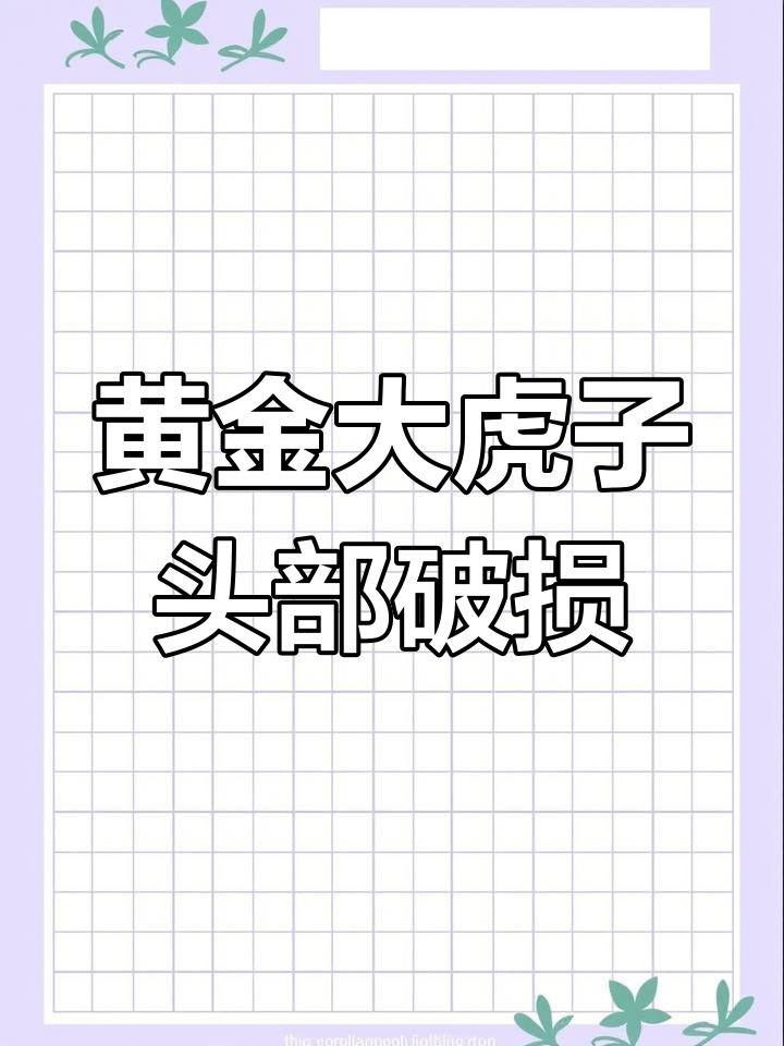 罗汉鱼头洞与白点病,水质问题不容忽视