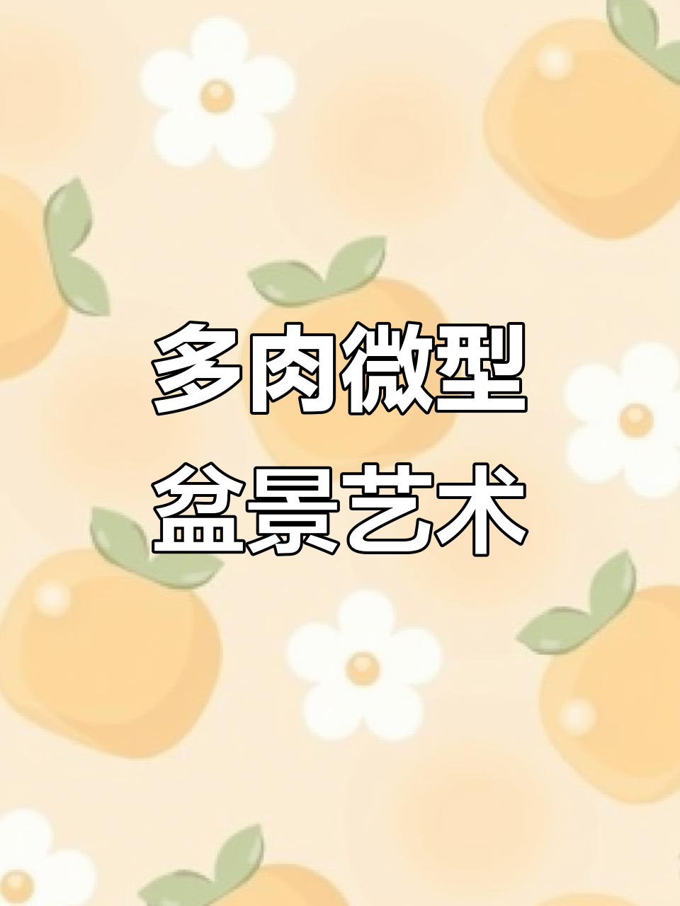 95后小伙用多肉打造中国风微盆景,每个造型都独一无二