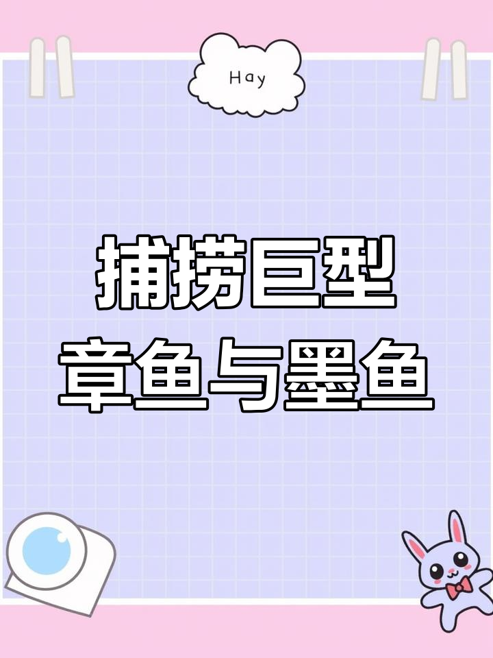 海哥徒手抓大章鱼,惊现超级墨鱼!