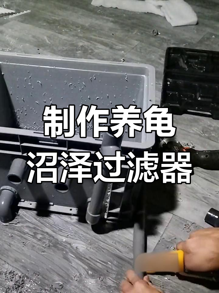 自制沼泽过滤箱教程,轻松打造龟类生活环境