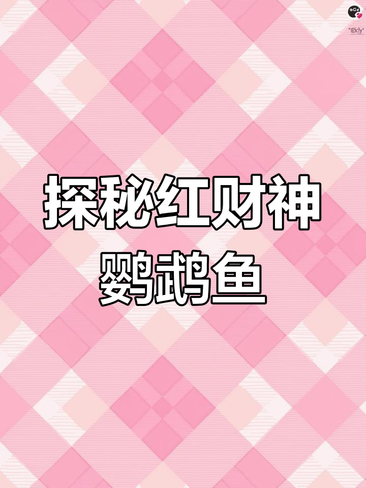 红财神鹦鹉鱼:从杂交到成体,了解它的成长与养护技巧
