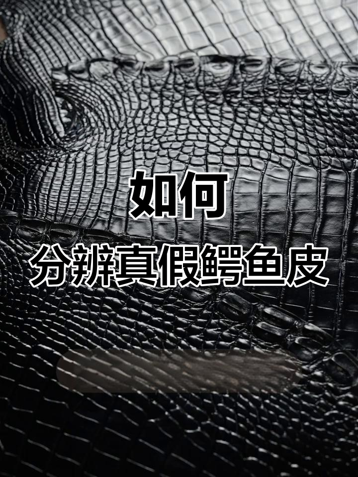 辨别真假鳄鱼皮包包,简单实用的方法揭秘