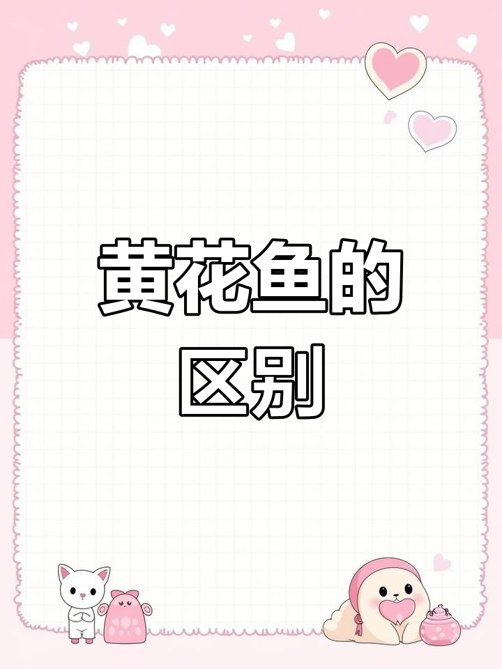 大黄花鱼与小黄花鱼的差异揭秘