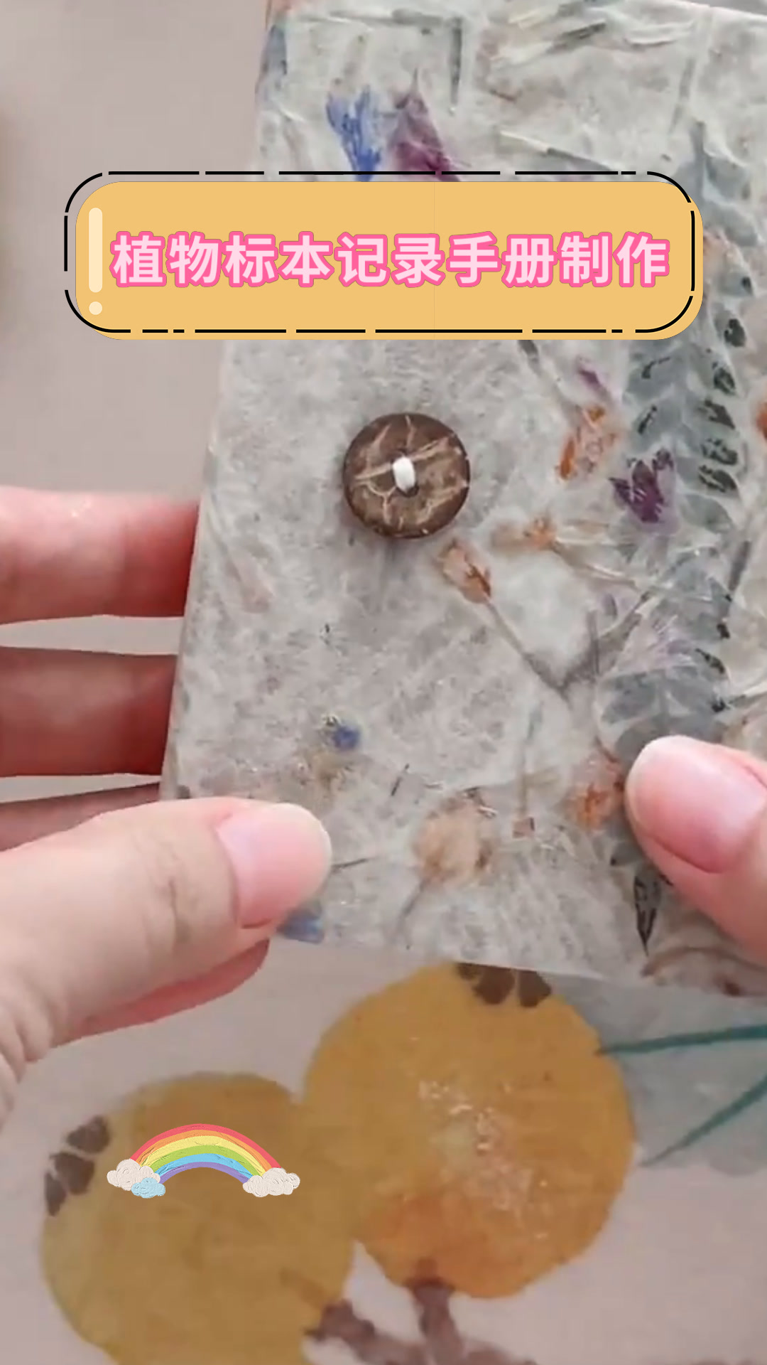 植物标本记录手册制作